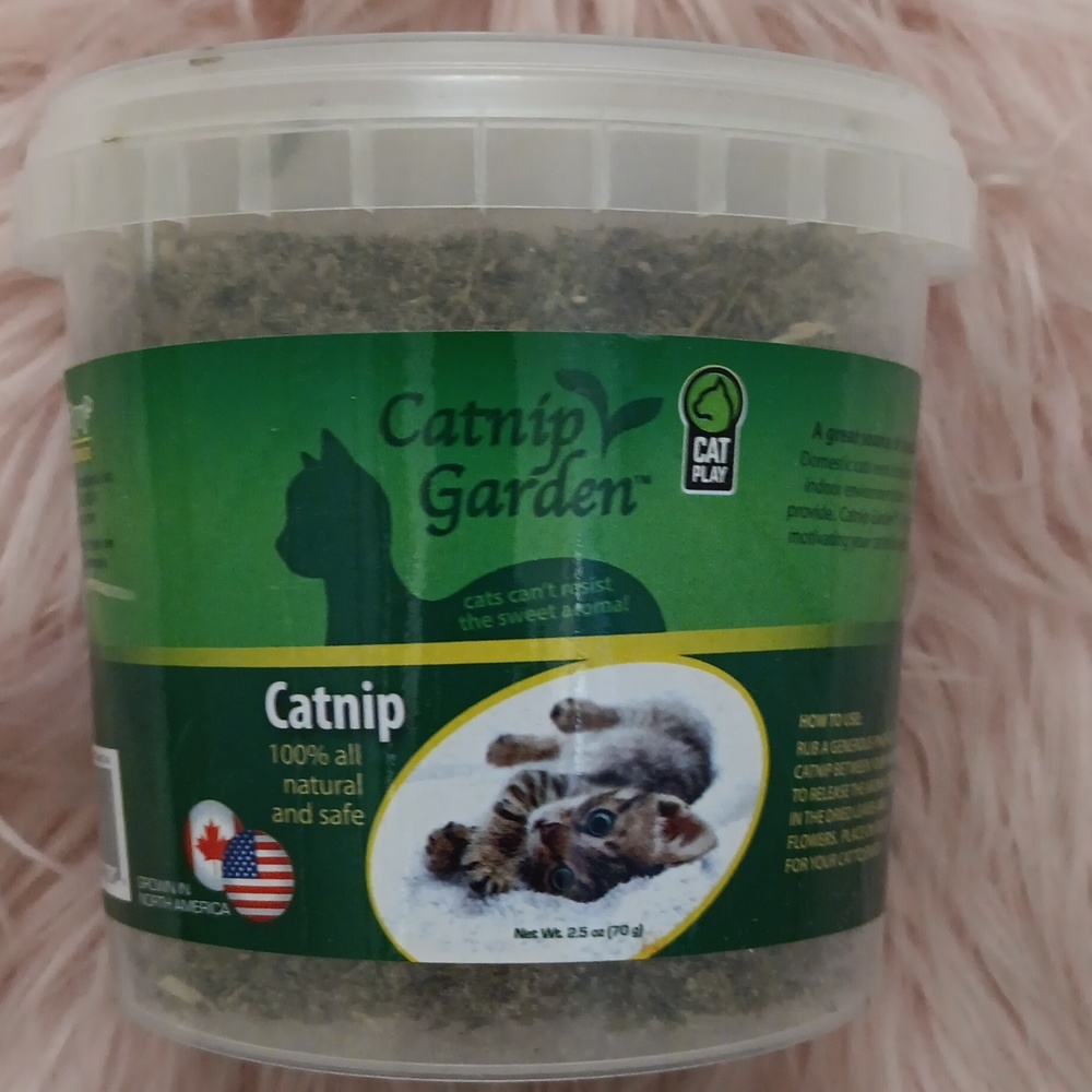 Brand New MULTIPET CATNIP GARDEN CATNIP
